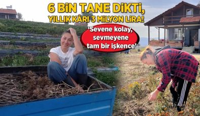 6 bin tane dikti, yıllık kârı 3 milyon lira! ‘Sevene kolay, sevmeyen tam bir işkence’