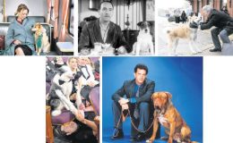 Perdenin en sevimli oyuncuları