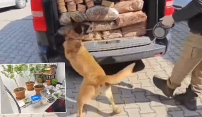 Uyuşturucu satıcılarına geçit yok! 434 kişi yakalandı